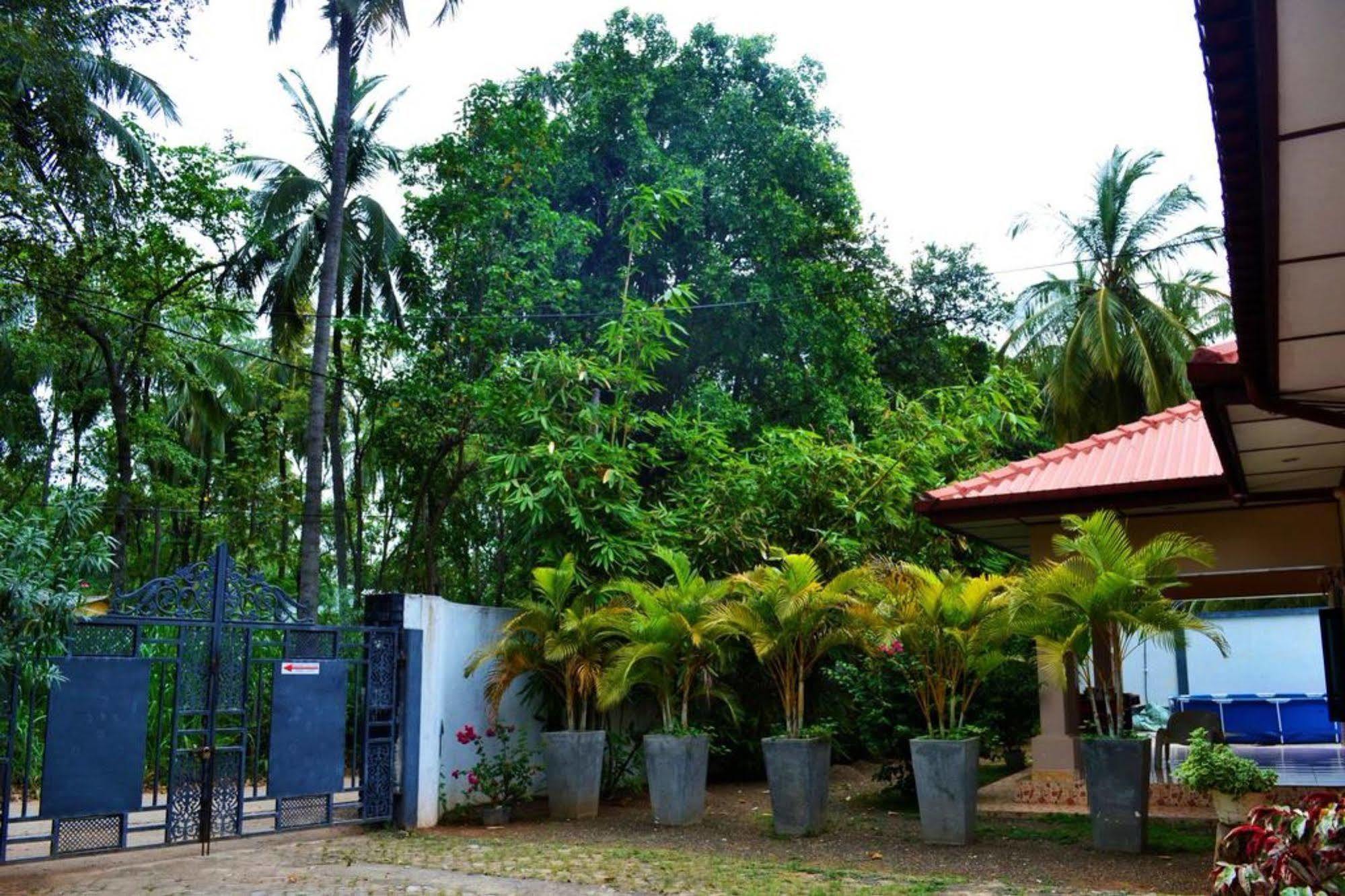 Dambulla City Hostel Eksteriør bilde